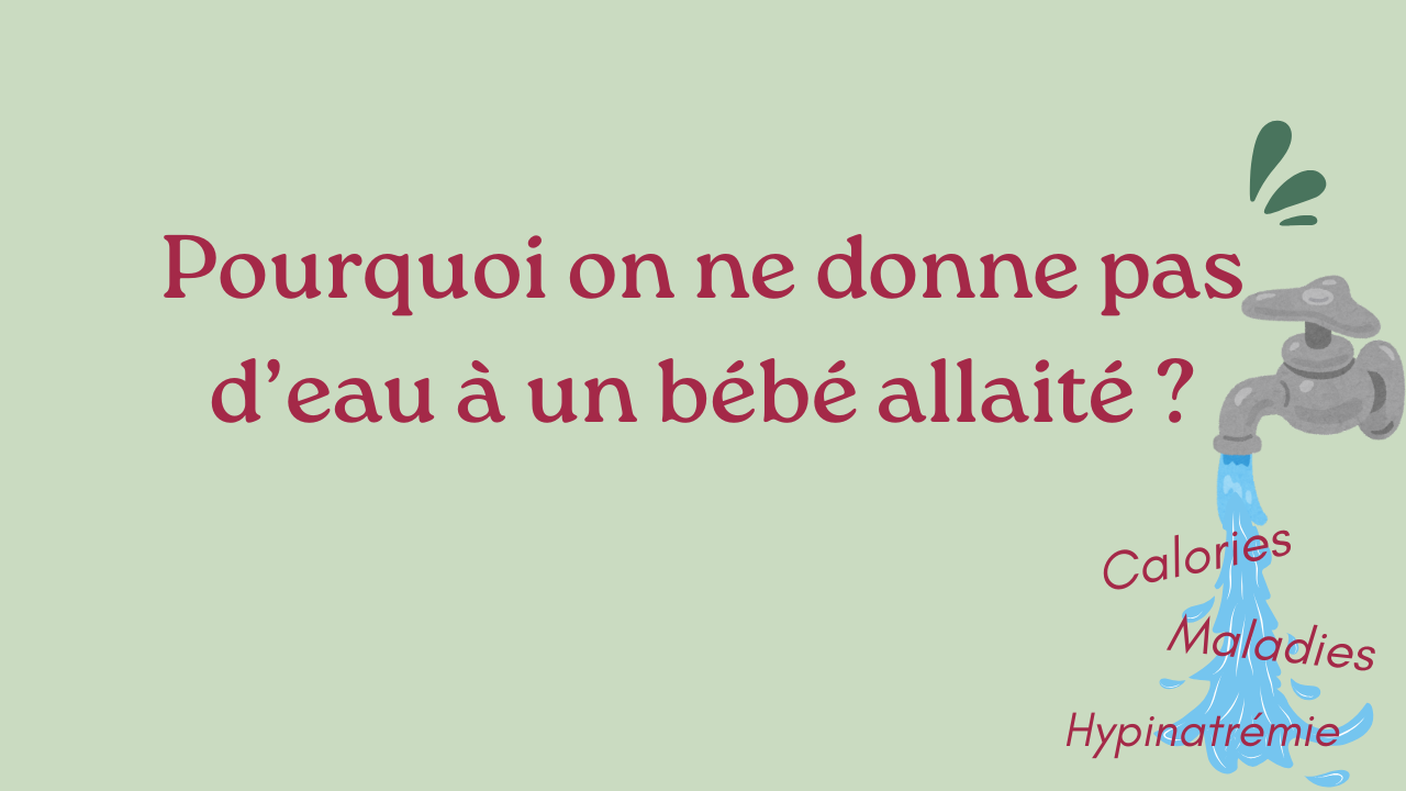 Pourquoi on ne donne pas d’eau à un bébé allaité ?
